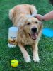 Pet and dog Grooming Cleaning Wipes - 100 Wipes Jar