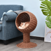 Modern Cat Bed Fancy Design Espresso Color Wicker Lounge - Brown - Pets