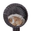 Modern Cat Bed Fancy Design Espresso Color Wicker Lounge - Coffee - Pets