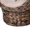 Simple Yet Practical Natural Braided Banana Leaf Elevated Cat Bed Basket With Cushion - Coffee - 23.5" H