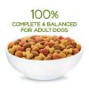 Purina Beneful Healthy Weight Dry Dog Food Farm Raised Chicken 40 lb Bag - Purina Beneful