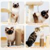 Indoor Funny Cozy Small Cat Tree Condo - Beige - Style B