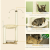 Kitten Activity Center With Condo Modern Cat Tree Tower Cat Activity Tower - Beige A - Pets