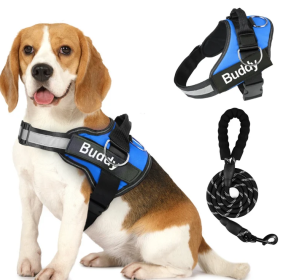 Pet Clothing Dog Couple Chest Strap Rope (Option: Blue-M)